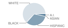 Louisiana Schnell Elementary School Student Race Distribution