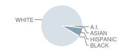 Magnolia Intermediate School Student Race Distribution