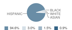 San Antonio Elementary School Student Race Distribution