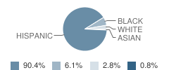 Allison Elementary School Student Race Distribution