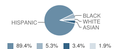 Kingsley Elementary School Student Race Distribution
