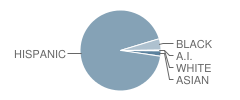 Madison Elementary School Student Race Distribution