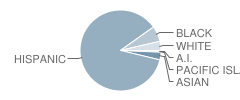 Montvue Elementary School Student Race Distribution