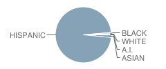 Washington Elementary School Student Race Distribution