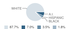 Vantage Point Charter School Student Race Distribution