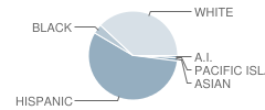 Mentone Elementary School Student Race Distribution