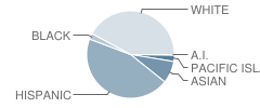 Clifford Elementary School Student Race Distribution