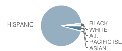 Fair Oaks Elementary School Student Race Distribution