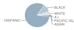 Rialto High School Student Race Distribution