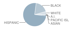 Frisbie Middle School Student Race Distribution