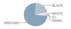 Preston Elementary School Student Race Distribution