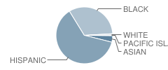 Coronado Elementary School Student Race Distribution