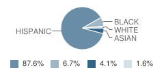 Grant Elementary School Student Race Distribution