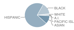 Lake Elementary School Student Race Distribution