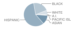 Riverside Elementary School Student Race Distribution