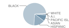 Stege Elementary School Student Race Distribution