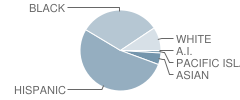 Washington Elementary School Student Race Distribution