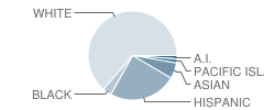 Madrone Elementary School Student Race Distribution