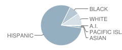 Fremont Elementary School Student Race Distribution