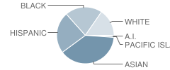 Matsuyama Elementary School Student Race Distribution