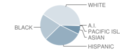 A. M. Winn Elementary School Student Race Distribution