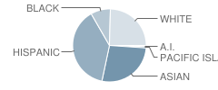 C. K. Mcclatchy High School Student Race Distribution