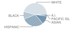 Phoebe A. Hearst Elementary School Student Race Distribution