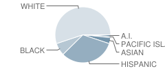 Theodore Judah Elementary School Student Race Distribution