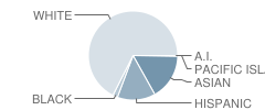 Foothill Ranch Elementary School Student Race Distribution