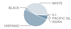 Sisk Elementary School Student Race Distribution