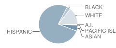 Washington Middle School Student Race Distribution