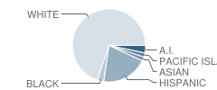 San Antonio Elementary School Student Race Distribution