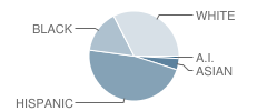 Palm Avenue Elementary School Student Race Distribution