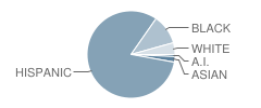 Burbank Elementary School Student Race Distribution