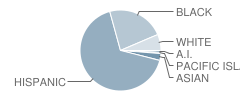 Cypress Elementary School Student Race Distribution