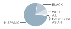 Davidson Elementary School Student Race Distribution