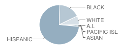 San Bernardino High School Student Race Distribution