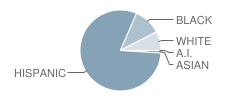 Wilson Elementary School Student Race Distribution