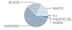 Anderson School Student Race Distribution