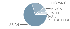 Abraham Lincoln High School Student Race Distribution