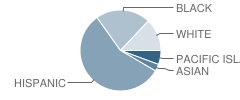 Daniel Webster Elementary School Student Race Distribution