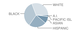 Harvey Milk Civil Rights Elementary School Student Race Distribution