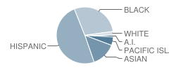 Downtown High (Continuation) School Student Race Distribution