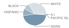 George Peabody Elementary School Student Race Distribution