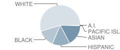 Grattan Elementary School Student Race Distribution