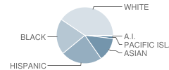 Mckinley Elementary School Student Race Distribution