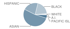 Martin Luther King Jr. Academic Middle School Student Race Distribution