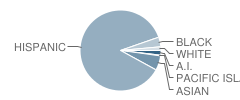 Sanchez Elementary School Student Race Distribution