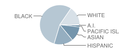 William L. Cobb Elementary School Student Race Distribution