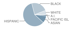 Everett Middle School Student Race Distribution